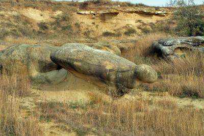 Прикрепленное изображение: PA232560_web.jpg